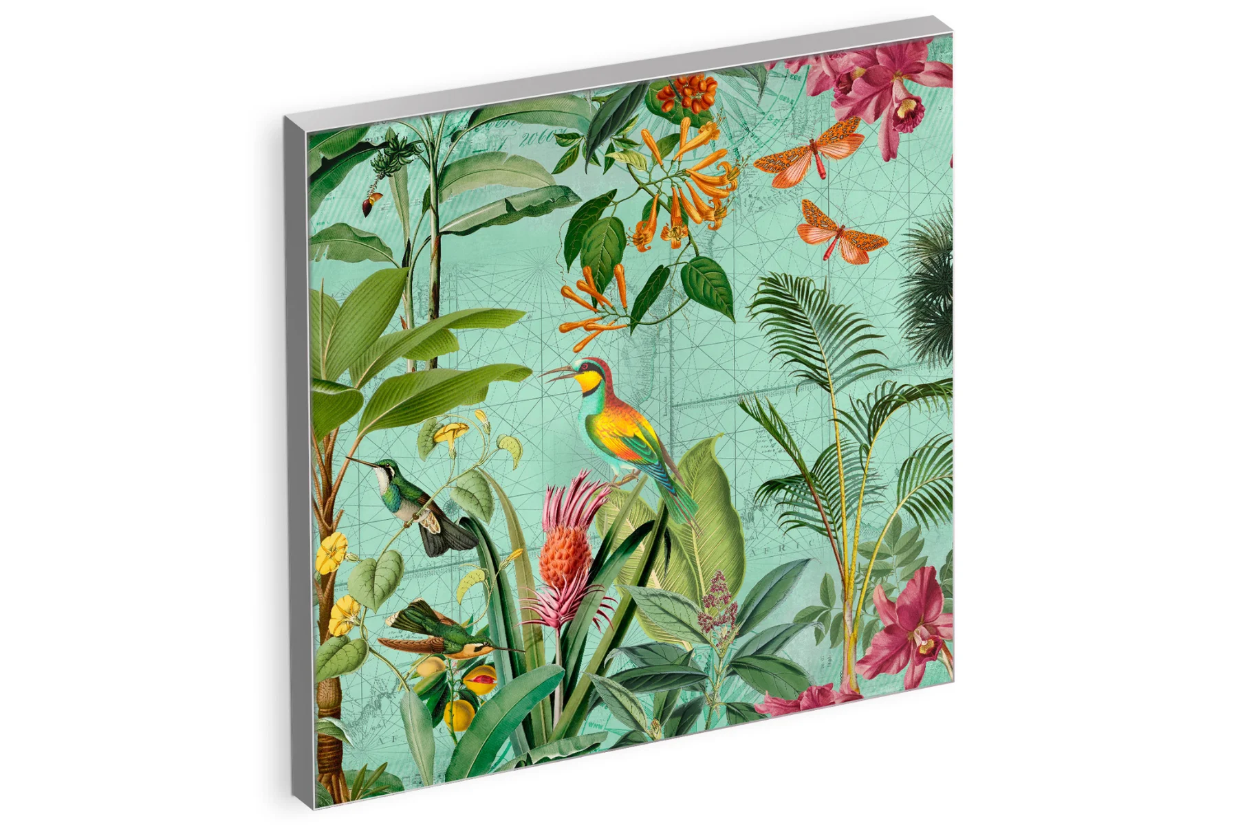 Wandbild Colorful_Chirping Bild 80x80cm