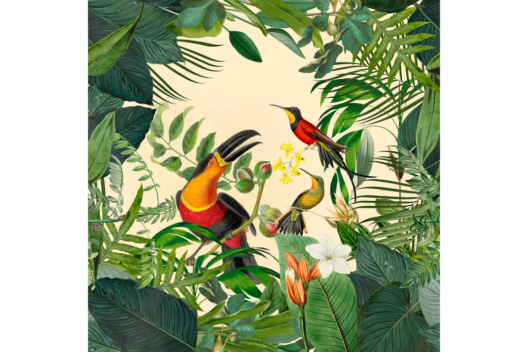 Wandbild Singing Tucan Motiv 80x80cm