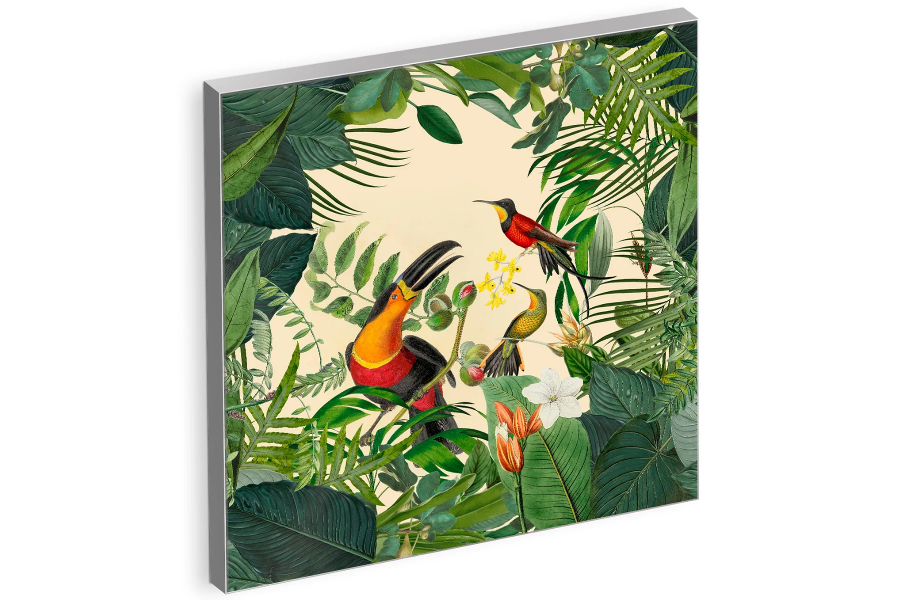 Wandbild Singing Tucan Bild 80x80cm