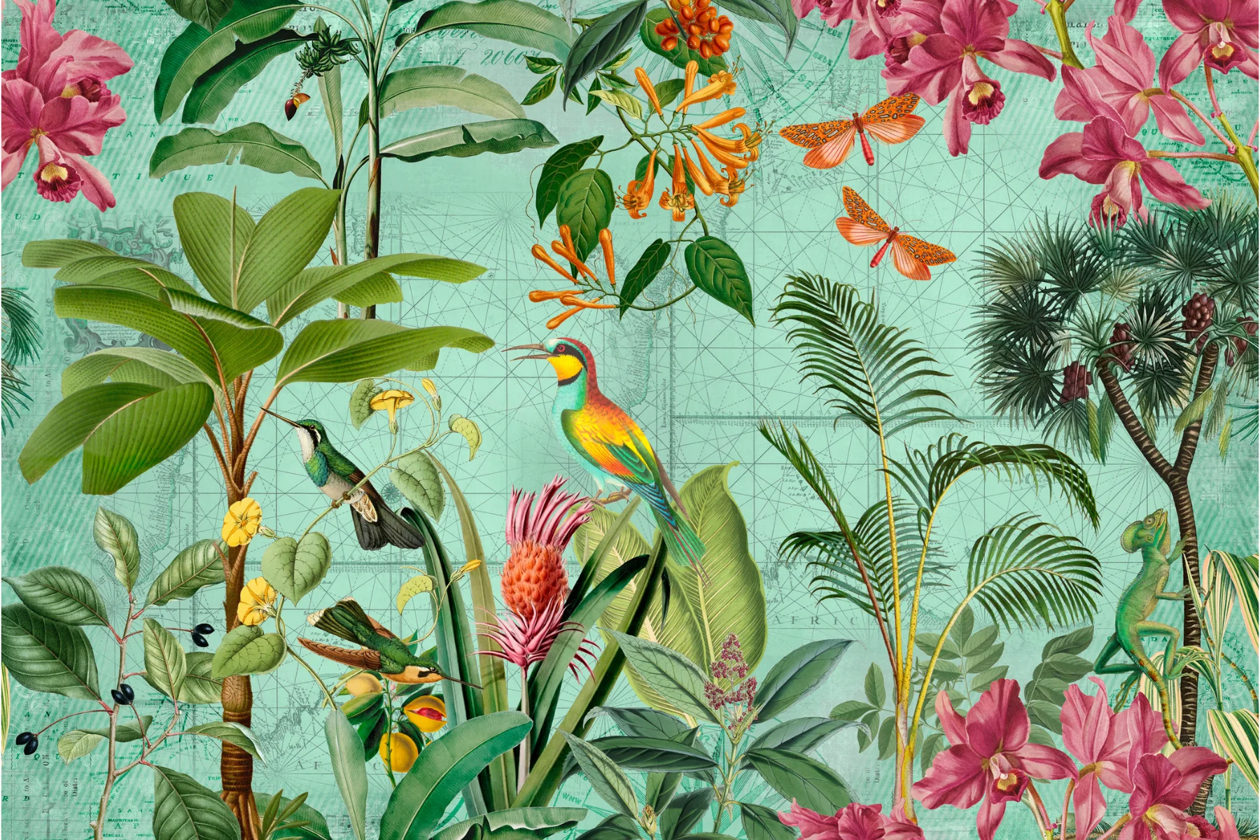Wandbild Colorful_Chirping Motiv 120x80cm Wandbild Colorful_Chirping Motiv 120x80cm