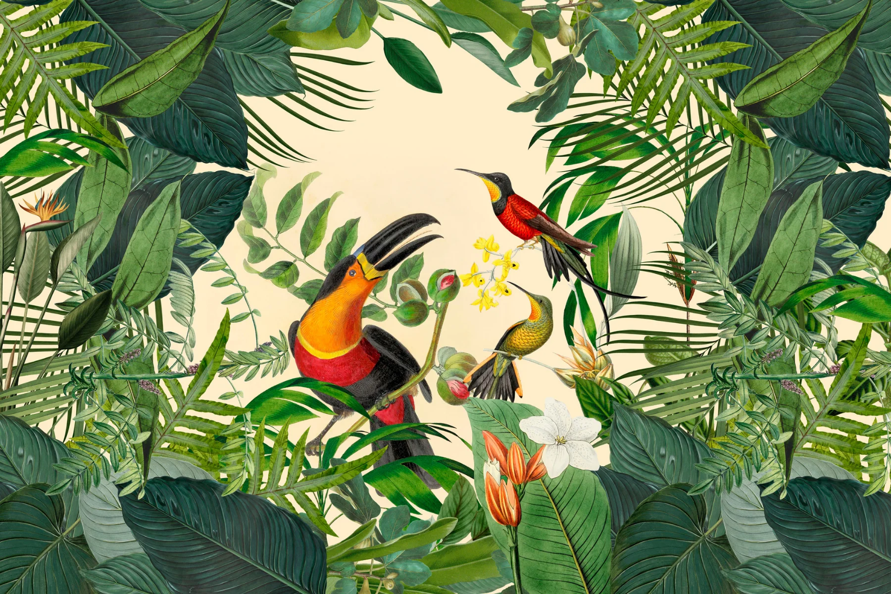 Wandbild Singing Tucan Motiv 120x80cm Wandbild Singing Tucan Motiv 120x80cm