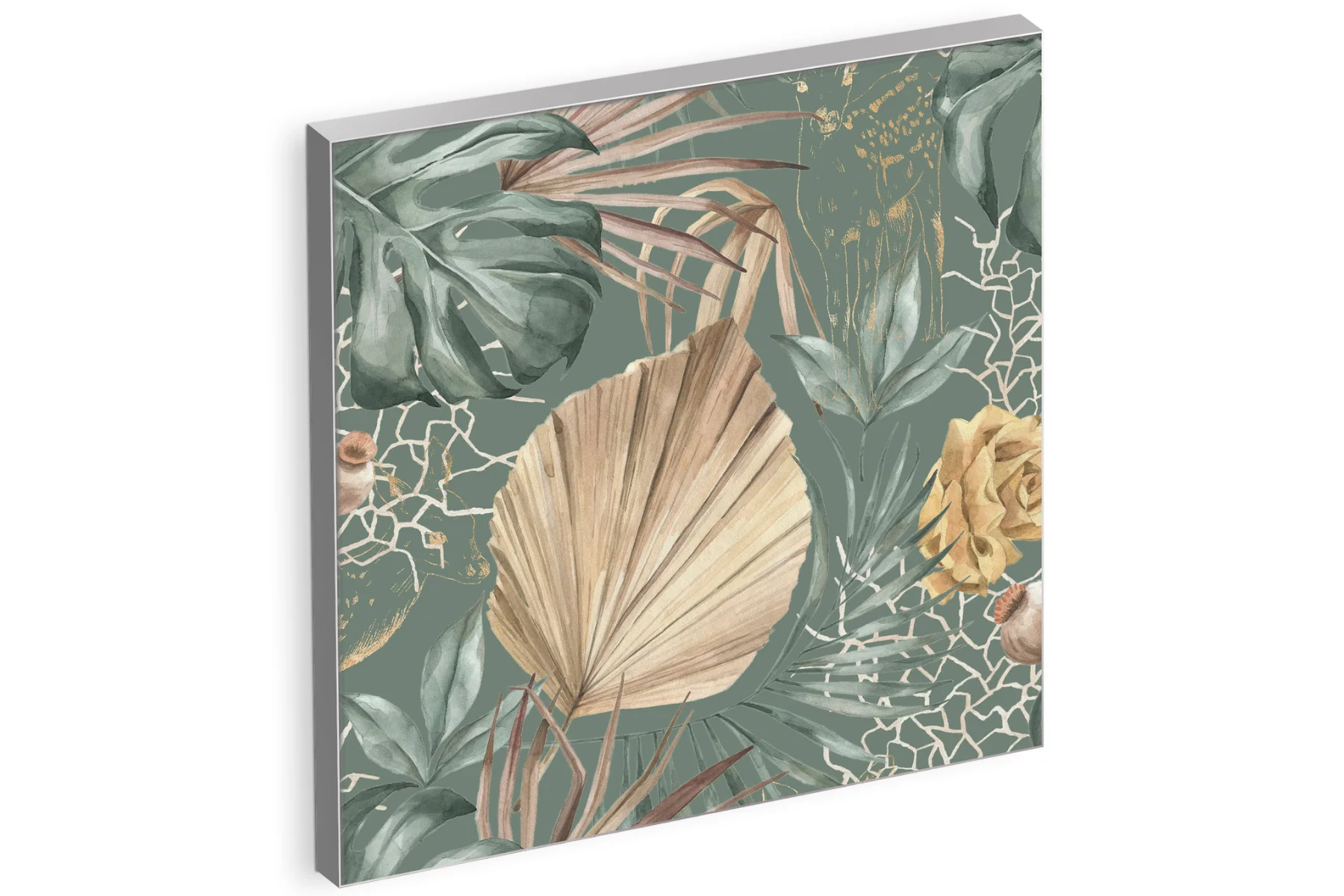 Wandbild Fan Palm Bild 80x80cm